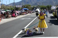 dscn1648